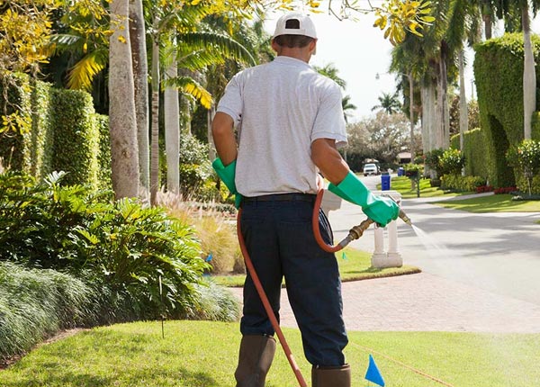 About Frisco City AL Pest Control